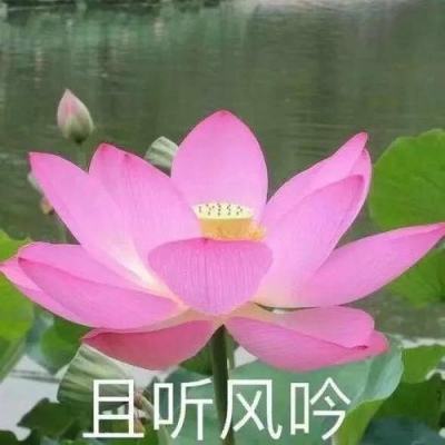 江南足球app官网截图0